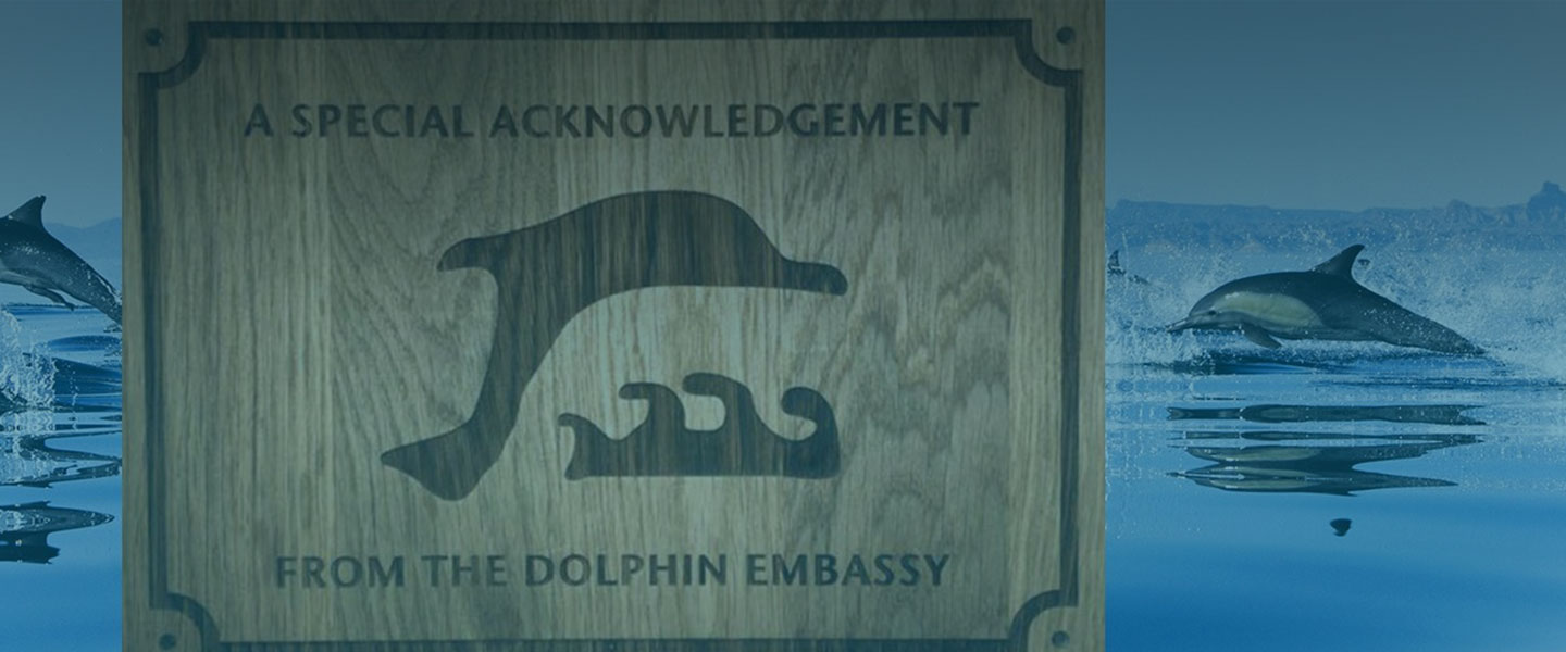 Табличка Посольство дельфинов