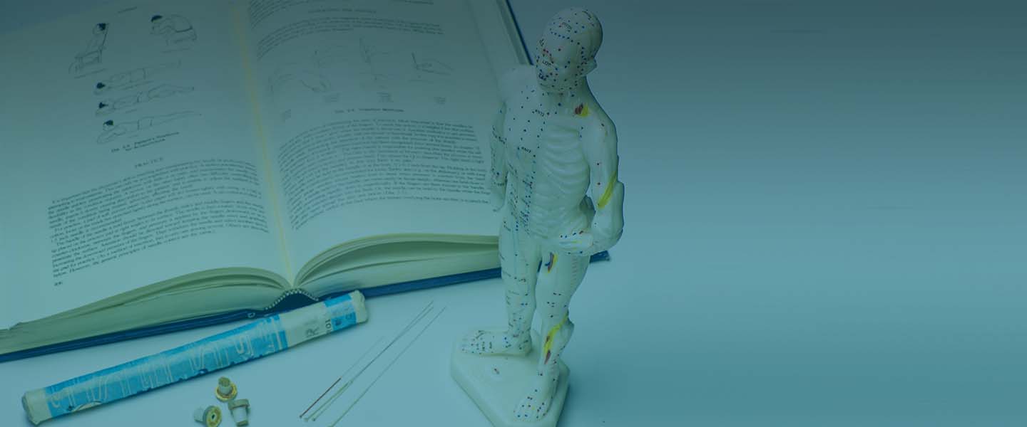 фото книги и макета человека с точками для иглорефлексотерапии