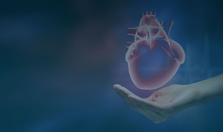 Союз современной и традиционной медицины в лечении сердечно-сосудистых заболеваний